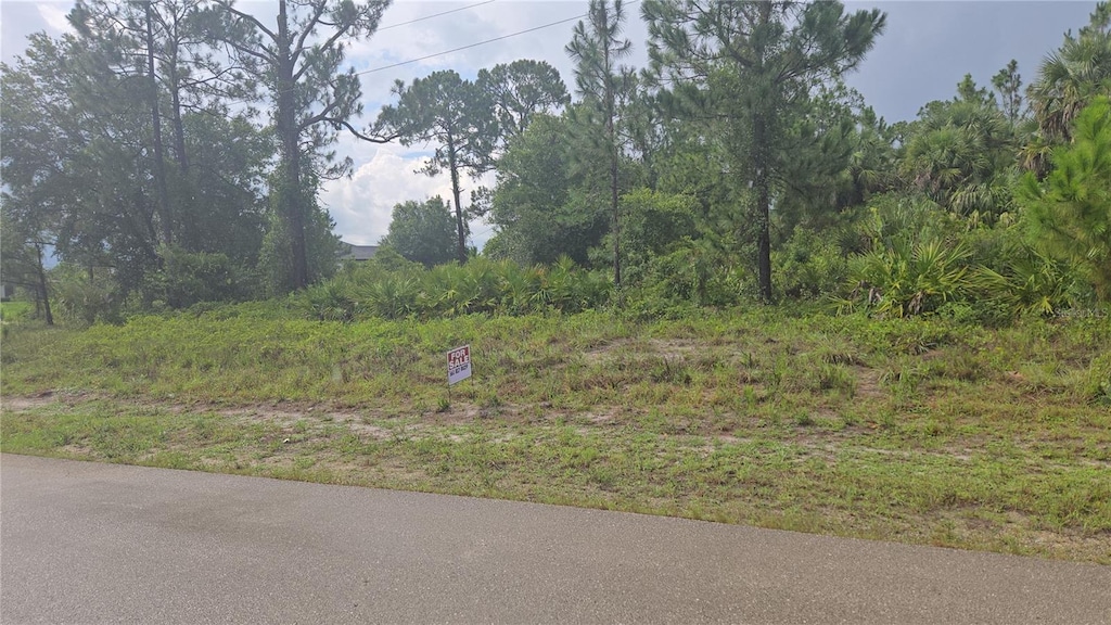 733 Palmer St E, Lehigh Acres, FL 33974 - photo 1