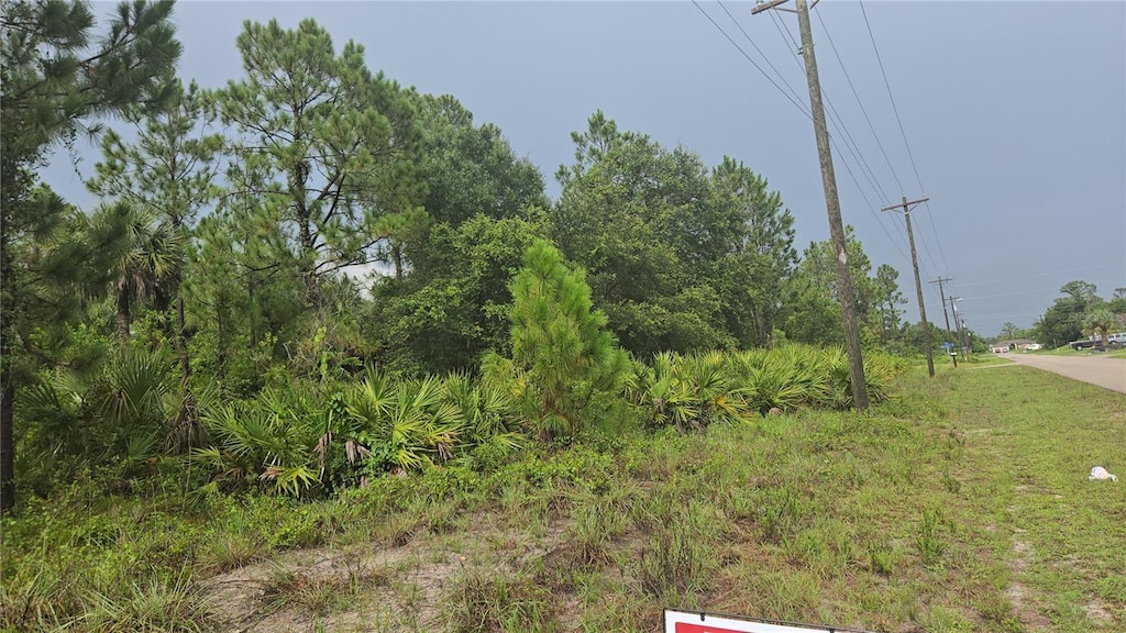 733 Palmer St E, Lehigh Acres, FL 33974 - photo 2