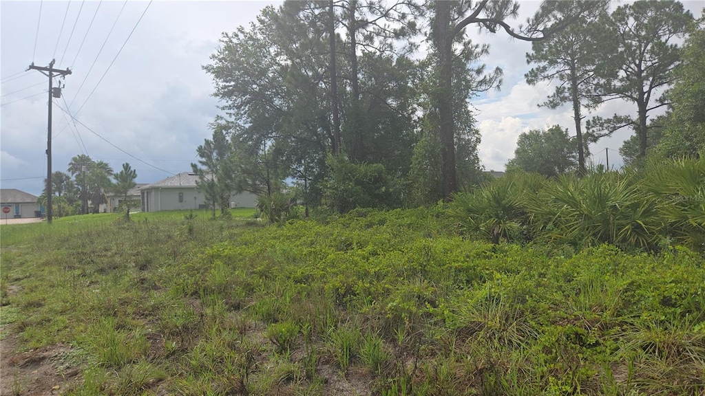 733 Palmer St E, Lehigh Acres, FL 33974 - photo 3
