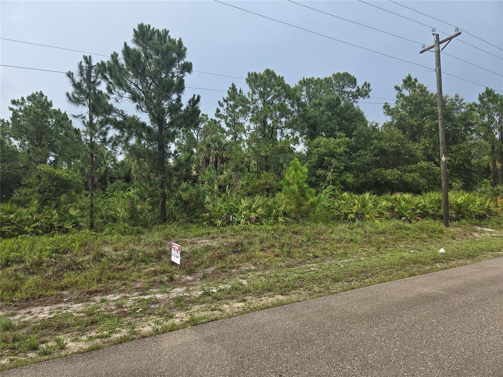 733 Palmer St E, Lehigh Acres, FL 33974 - photo 4