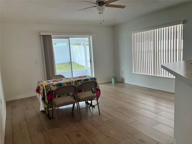 252 Elgin Blvd, Davenport, FL 33897 - photo 10