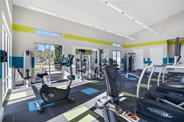 2541 Shanti Dr, Kissimmee, FL 34746 - workout area featuring a towering ceiling