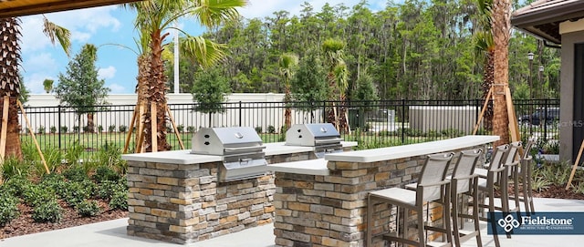 2245 Rapollo Dr, Kissimmee, FL 34741 - photo 41