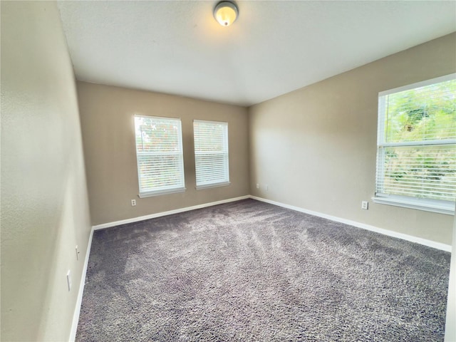 10238 Cala Lily Trl Unit S, Orlando, FL 32832 - carpeted empty room featuring healthy amount of natural light