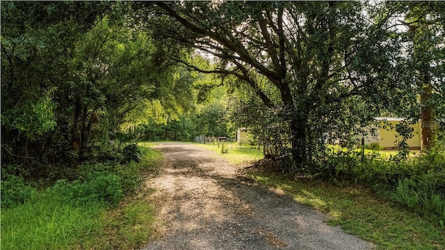 415 1st St, Kenansville, FL 34739 - photo 19