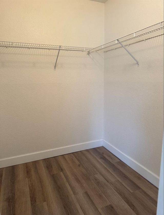 7280 Westpointe Blvd Unit 823, Orlando, FL 32835 - walk in closet featuring dark wood-style flooring
