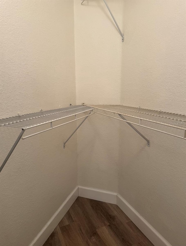 7280 Westpointe Blvd Unit 823, Orlando, FL 32835 - spacious closet featuring dark wood finished floors