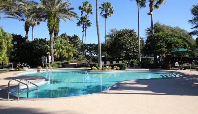 7280 Westpointe Blvd Unit 823, Orlando, FL 32835 - community pool featuring a patio area