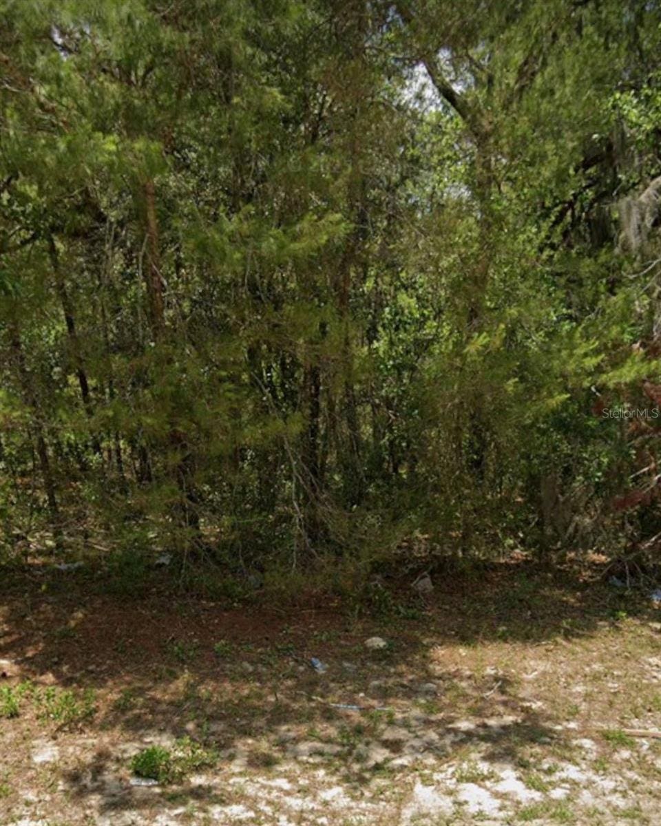 TBD SW 81st Ave, Ocala, FL 34473 - photo 1