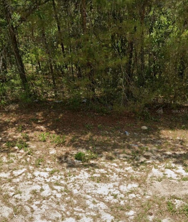 TBD SW 81st Ave, Ocala, FL 34473 - photo 2