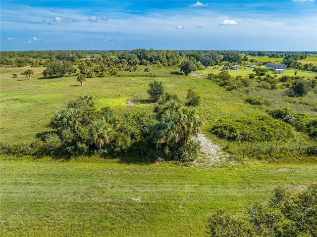14517 NW 282nd St, Okeechobee, FL 34972 - photo 13