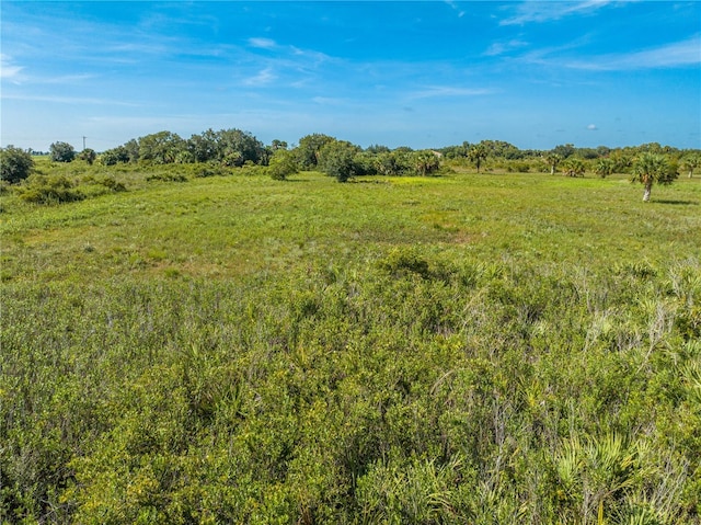 14517 NW 282nd St, Okeechobee, FL 34972 - photo 16
