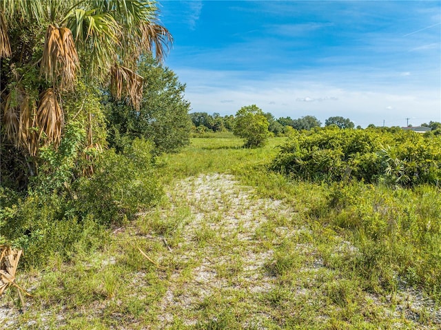 14517 NW 282nd St, Okeechobee, FL 34972 - photo 28
