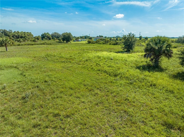 14517 NW 282nd St, Okeechobee, FL 34972 - photo 30
