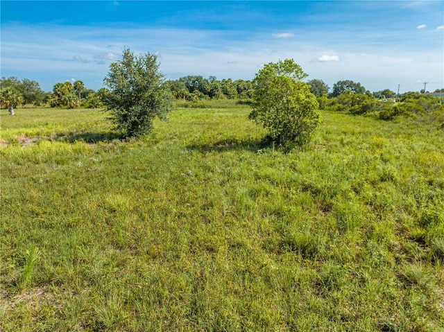14517 NW 282nd St, Okeechobee, FL 34972 - photo 32