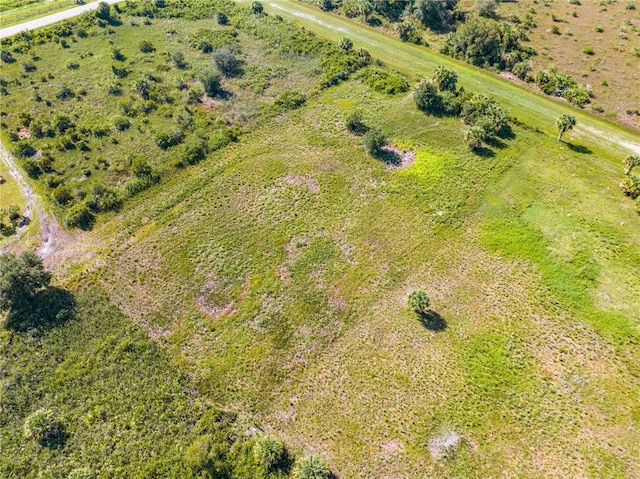 14517 NW 282nd St, Okeechobee, FL 34972 - photo 37