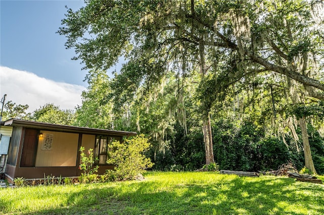 425 1st St, Kenansville, FL 34739 - photo 14