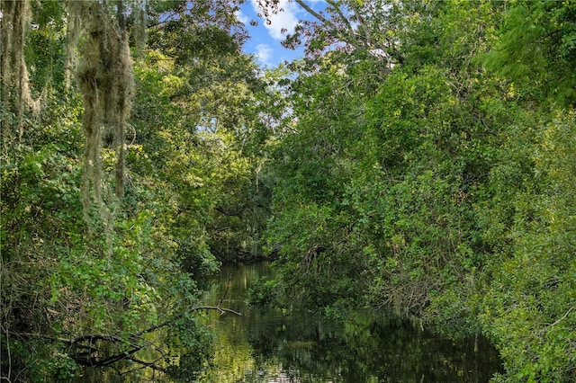 425 1st St, Kenansville, FL 34739 - photo 18