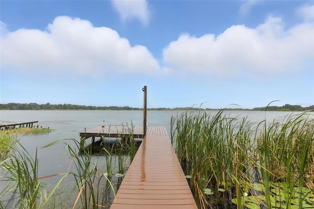 1358 Emerald Dr, Kissimmee, FL 34744 - photo 7