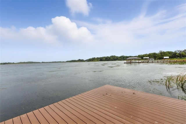 1358 Emerald Dr, Kissimmee, FL 34744 - photo 40