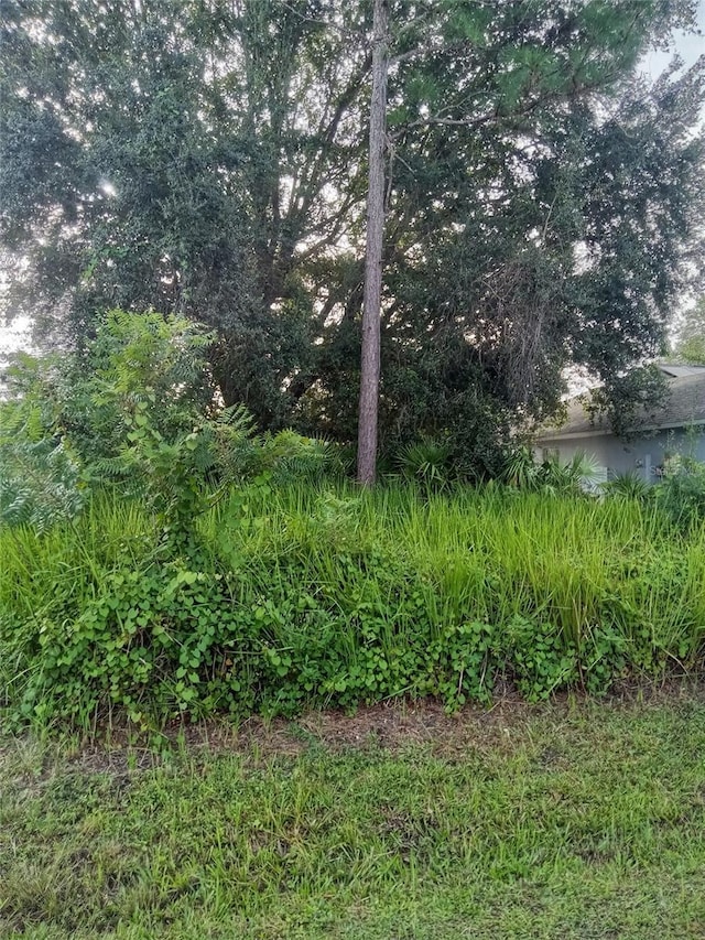 Maricopa Dr, Kissimmee, FL 34758 - photo 1