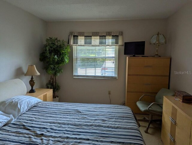 1001 Plantation Dr Unit C1, Kissimmee, FL 34741 - photo 15