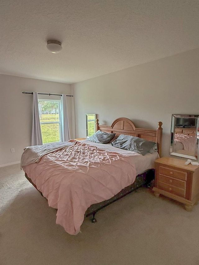 388 Rooks Loop, Haines City, FL 33844 - bedroom featuring carpet and a textured ceiling