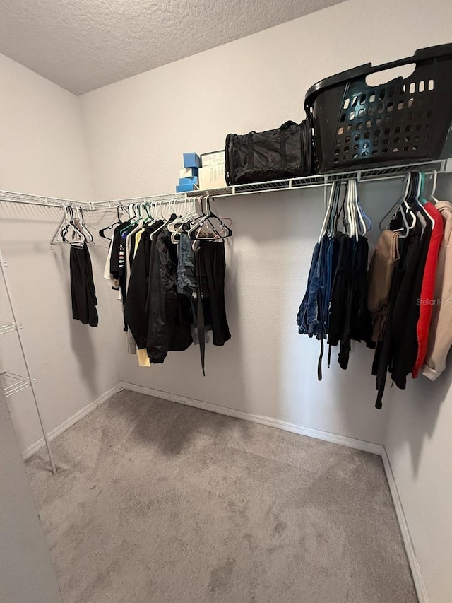 388 Rooks Loop, Haines City, FL 33844 - walk in closet with carpet