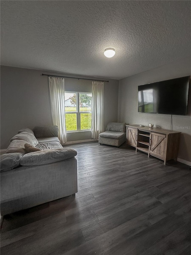 388 Rooks Loop, Haines City, FL 33844 - living room featuring a textured ceiling and dark wood-style floors