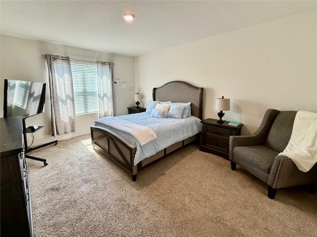 3725 Holly Grove Ln, Mount Dora, FL 32757 - photo 21