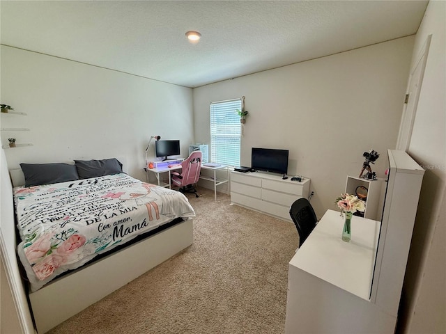 3725 Holly Grove Ln, Mount Dora, FL 32757 - photo 29