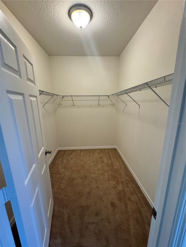 12093 Stone Bark Trl, Orlando, FL 32824 - photo 56