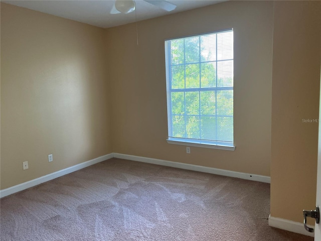3177 Feltrim Pl Unit 203, Kissimmee, FL 34747 - photo 13