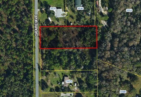 Grape Ave, Okeechobee, FL 34972 - photo 1