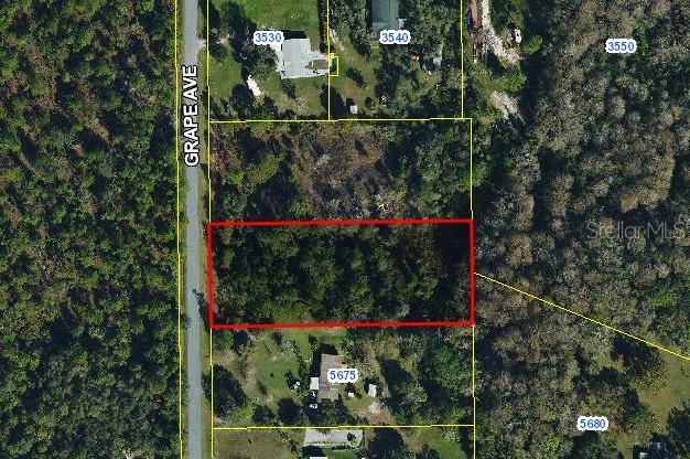 Grape Ave, Okeechobee, FL 34972 - photo 2