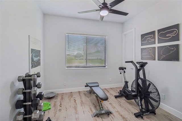 3385 Lake Diane Rd, Tavares, FL 32778 - photo 27