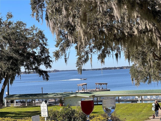 3385 Lake Diane Rd, Tavares, FL 32778 - photo 48
