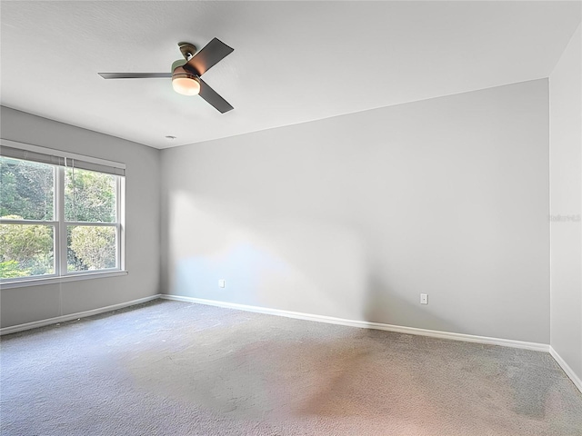 840 Jasmine Creek Rd, Kissimmee, FL 34759 - photo 37