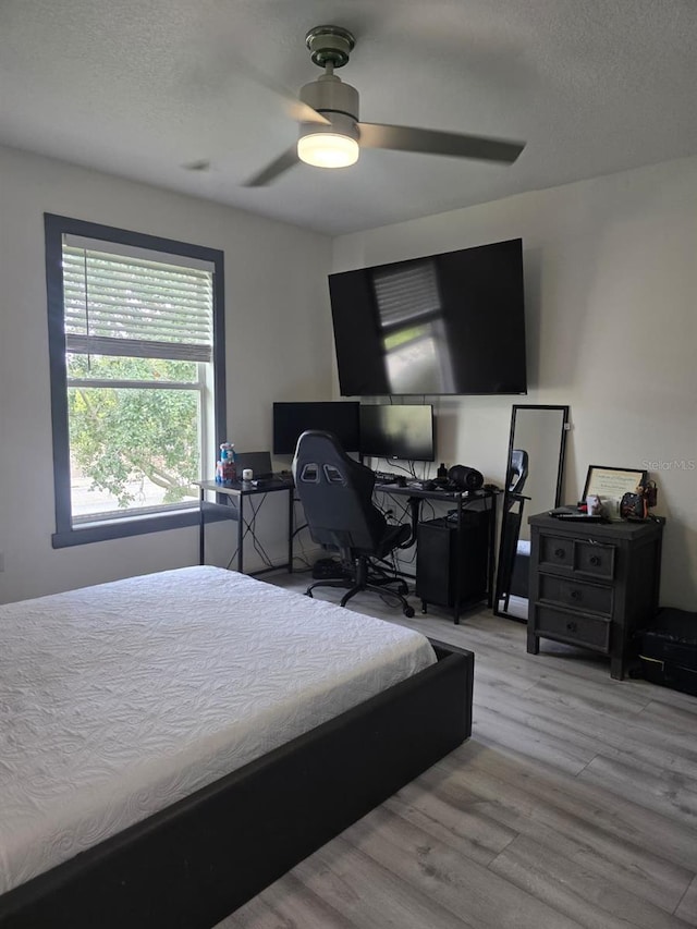 5001 Alita Ter, Saint Cloud, FL 34769 - photo 27