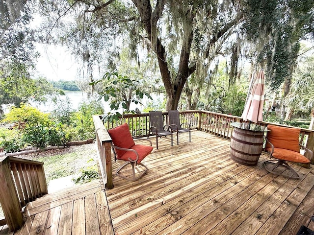 3785 Picciola Rd, Leesburg, FL 34748 - photo 26