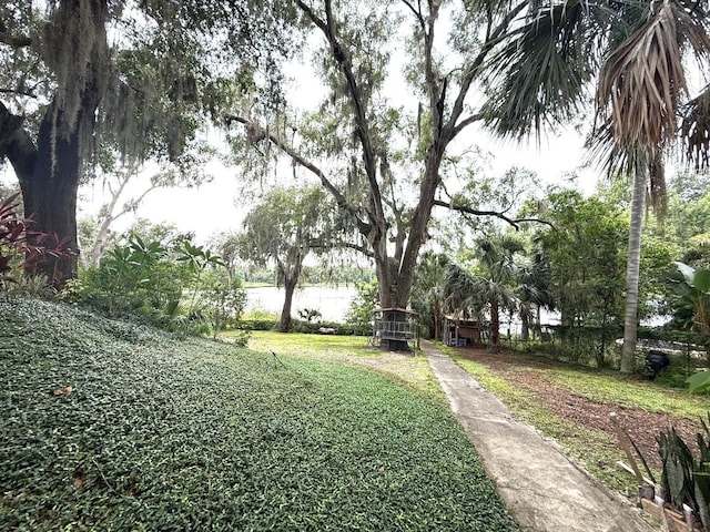3785 Picciola Rd, Leesburg, FL 34748 - photo 35