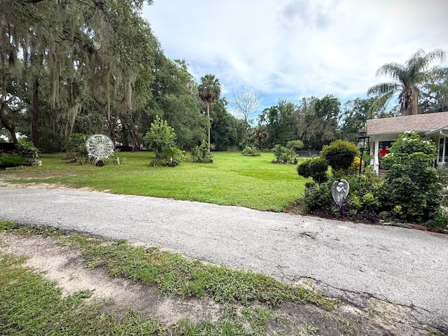 3785 Picciola Rd, Leesburg, FL 34748 - photo 39