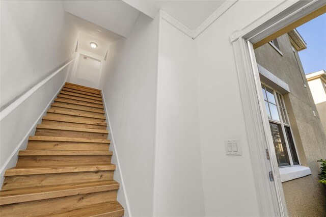 754 Siena Palm Dr Unit 204, Celebration, FL 34747 - photo 6