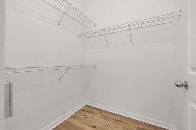754 Siena Palm Dr Unit 204, Celebration, FL 34747 - photo 29