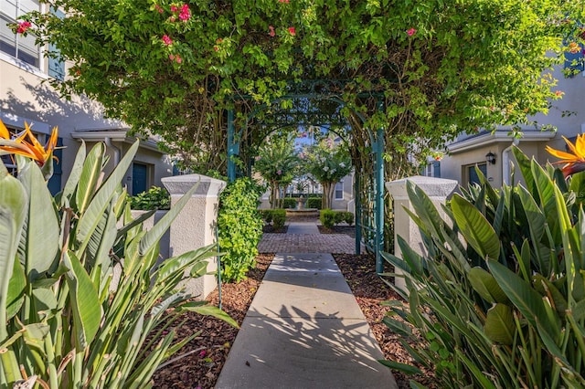 754 Siena Palm Dr Unit 204, Celebration, FL 34747 - photo 36