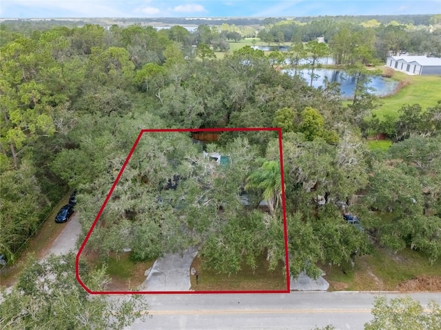 5525 Alligator Lake Rd, Saint Cloud, FL 34772 - photo 44