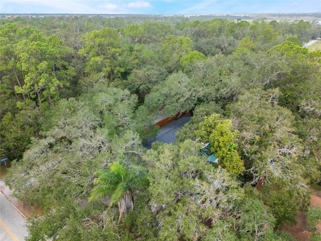 5525 Alligator Lake Rd, Saint Cloud, FL 34772 - photo 45