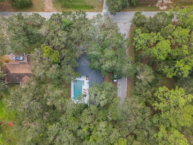 5525 Alligator Lake Rd, Saint Cloud, FL 34772 - photo 48