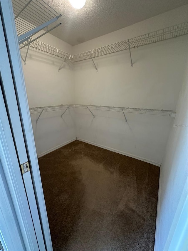 2823 Drifting Lilly Loop, Kissimmee, FL 34747 - photo 17