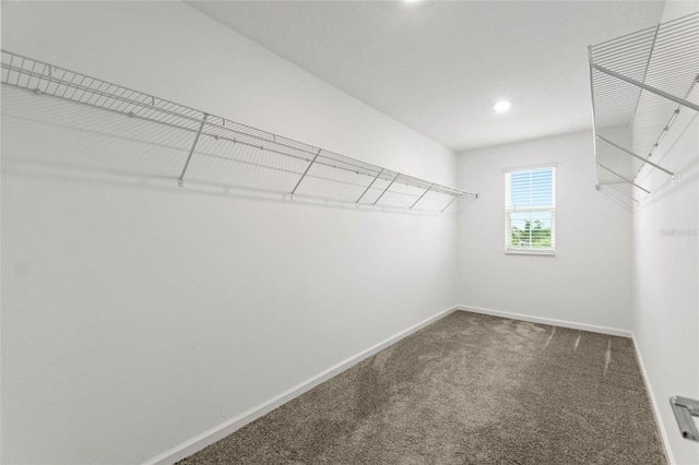 8991 Fluffy Lie Ct, Davenport, FL 33896 - photo 38